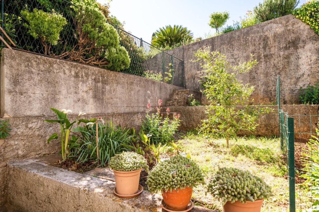 Apartment Kos Dubrovnik Bagian luar foto